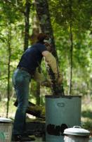 Kelly Landrum making Raku